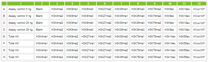 Histone Modification Kits firmy Epigentek Promocja - Gentaur